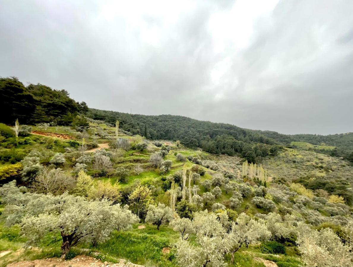 מלון איזמיר Ephesus Retreat מראה חיצוני תמונה