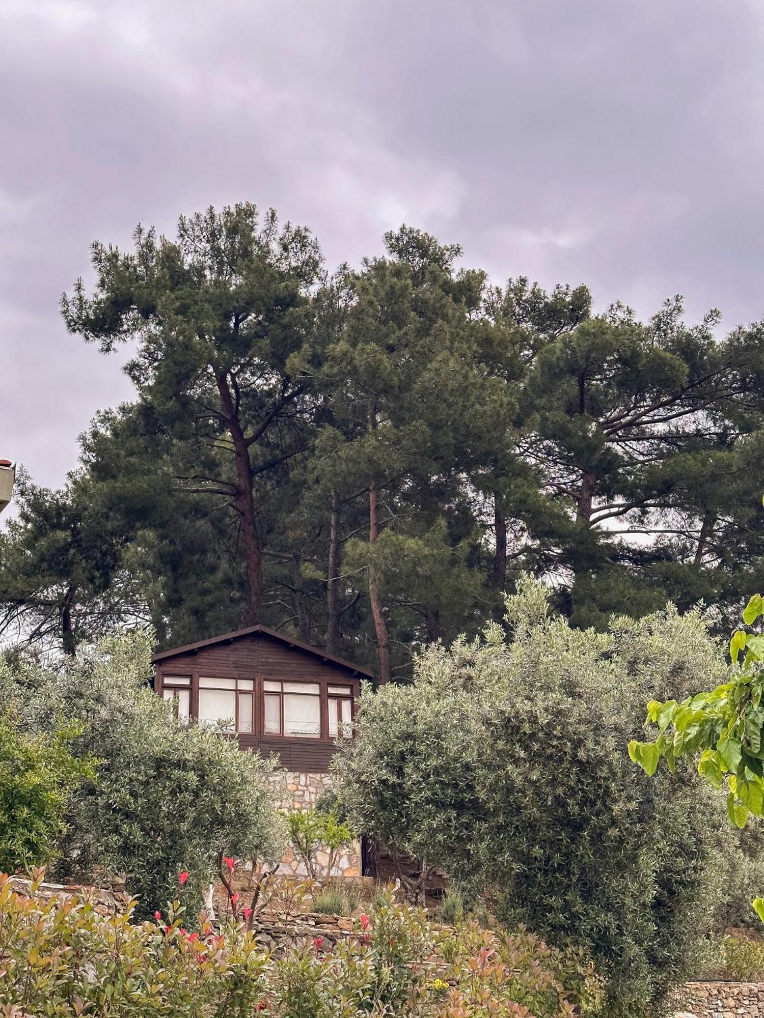 מלון איזמיר Ephesus Retreat מראה חיצוני תמונה